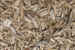 biomass boilers Dalness